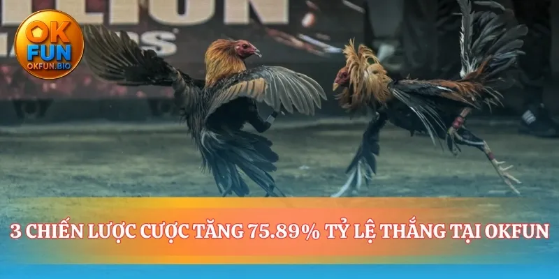 Tư duy chiến thuật vượt qua yếu tố may rủi