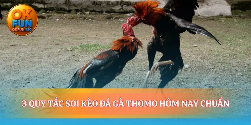 Biến may rủi thành những phân tích có cơ sở