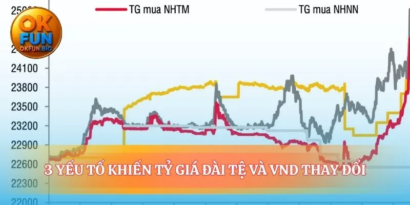 Giải mã những con sóng ngầm của tỷ giá đài tệ và VND