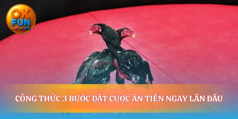 Thực hành đặt cược đá gà thomo hôm nay chuẩn xác