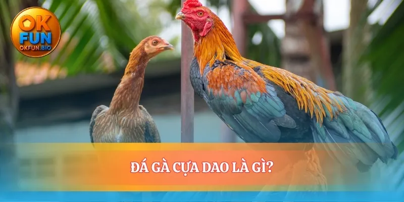 Trận chiến tốc độ với vũ khí kim loại sắc bén