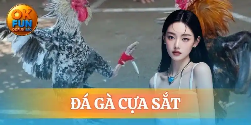 đá gà cựa sắt