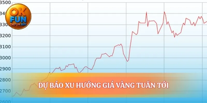 Vẽ ra tấm bản đồ cho những quyết định sắp tới