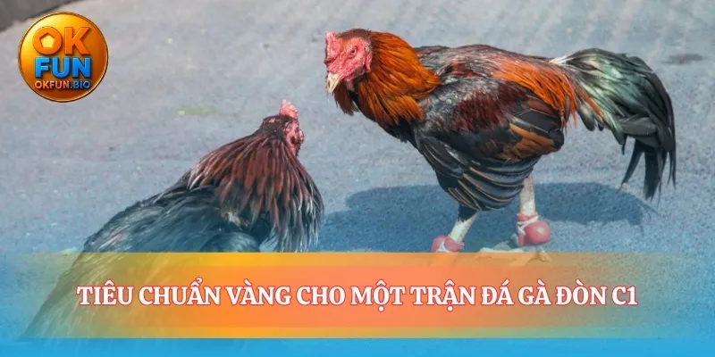 Giải mã DNA của một trận đá gà đòn C1